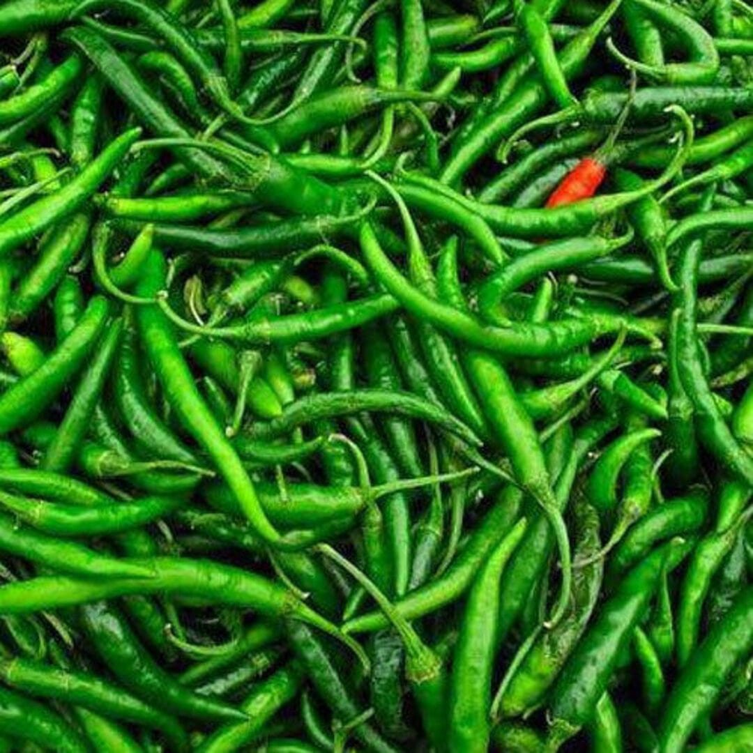 Wholesale Green Chillies Supplier in India